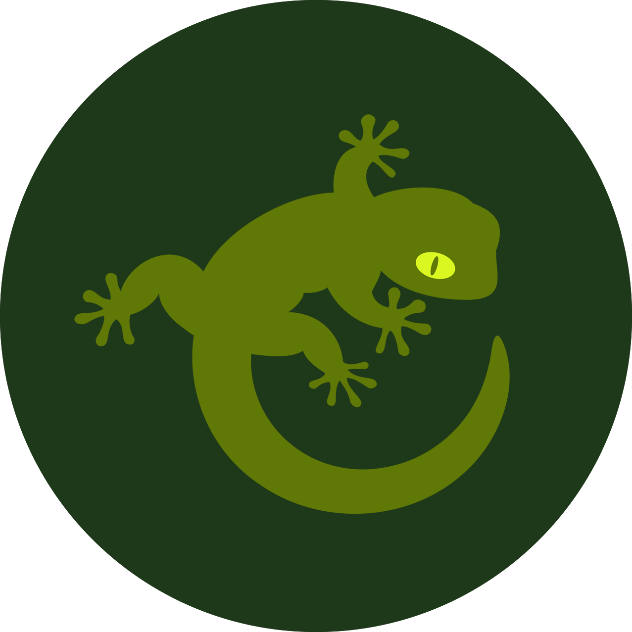 Geckoterminal